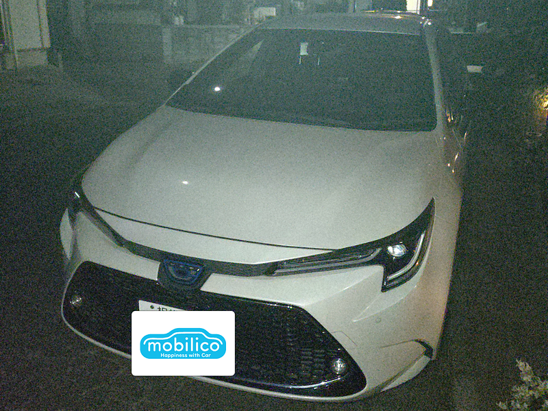 トヨタ カローラツーリング ハイブリッド ダブルバイビー